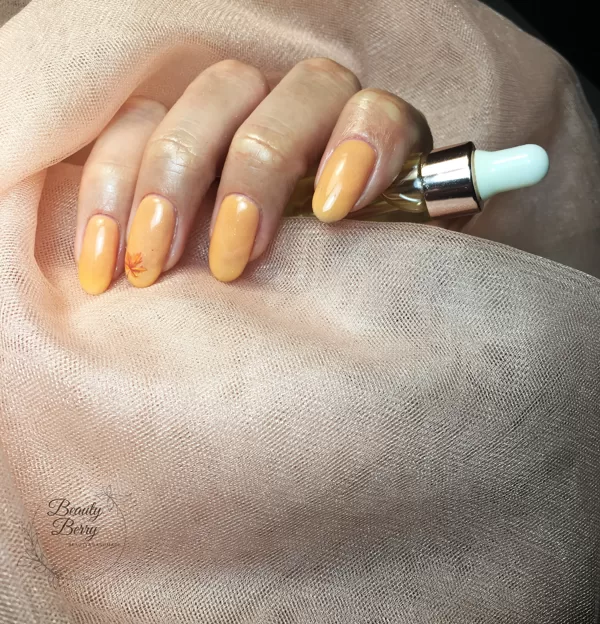 Autumn vibes!
